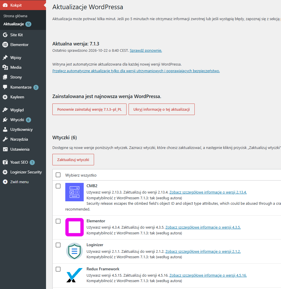 WordPress – ekran dostępnych aktualizacji w Kokpicie Panel Kokpit – Aktualizacje w WordPressie, sprawdzanie dostępnych aktualizacji systemu i wtyczek