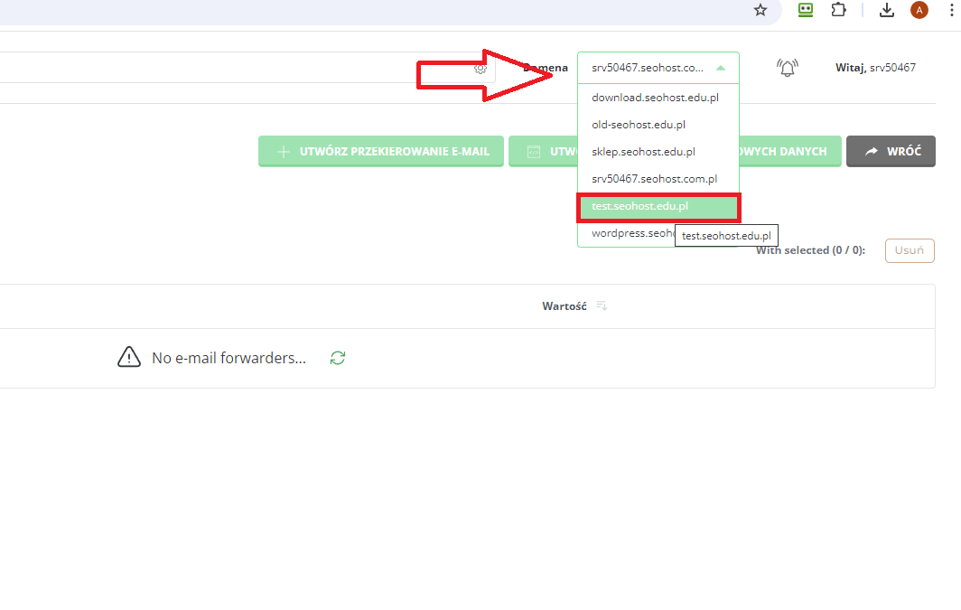 Wybór odpowiedniej domeny 
