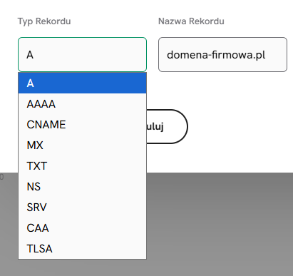 Wyb&oacute;r typu rekordu A, AAAA, CNAME, MX, TXT, NS, SRV, CAA lub TLSA w SEOHOST