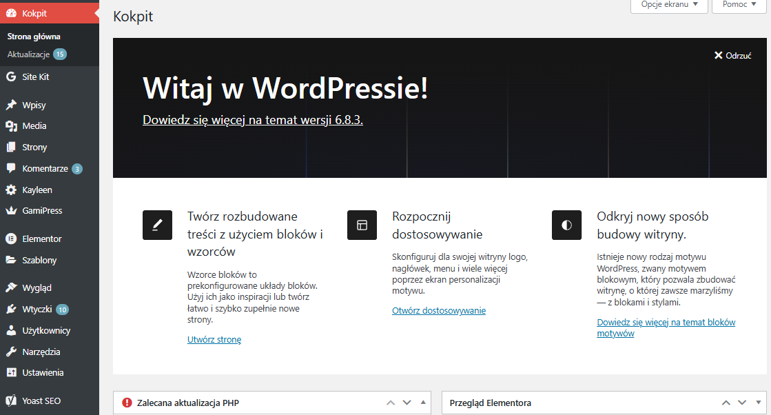 panel_wordpress_dashbord.png