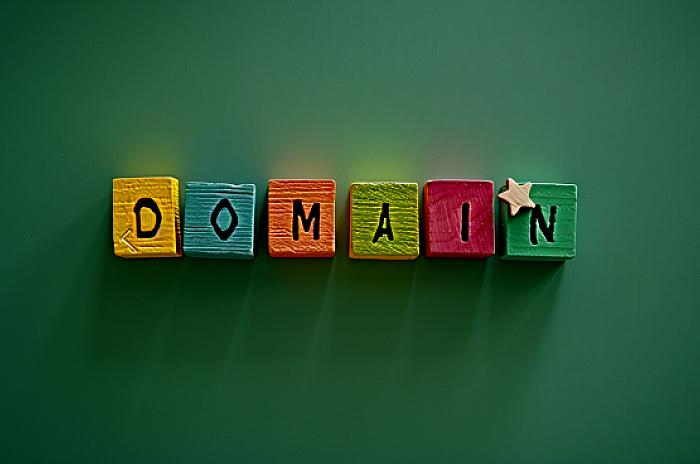 Co się dzieje z domeną jeśli jej nie przedłużymy, czy warto odnawiać domenę?